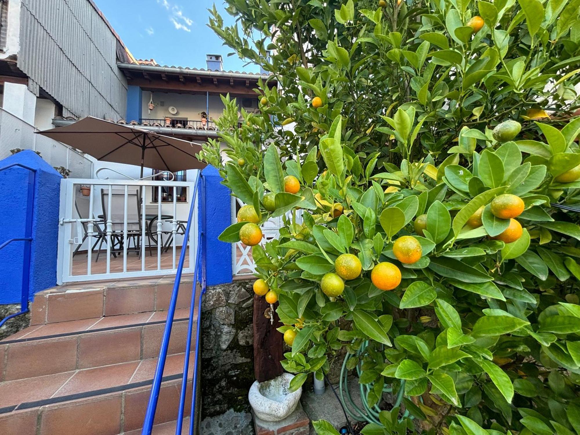 Alborada Apartamentos Rurales Hervás المظهر الخارجي الصورة